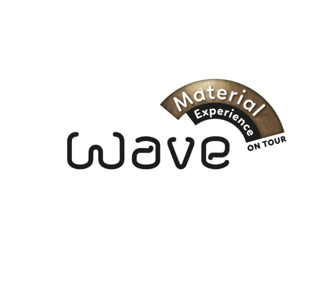 wave_experience_logo